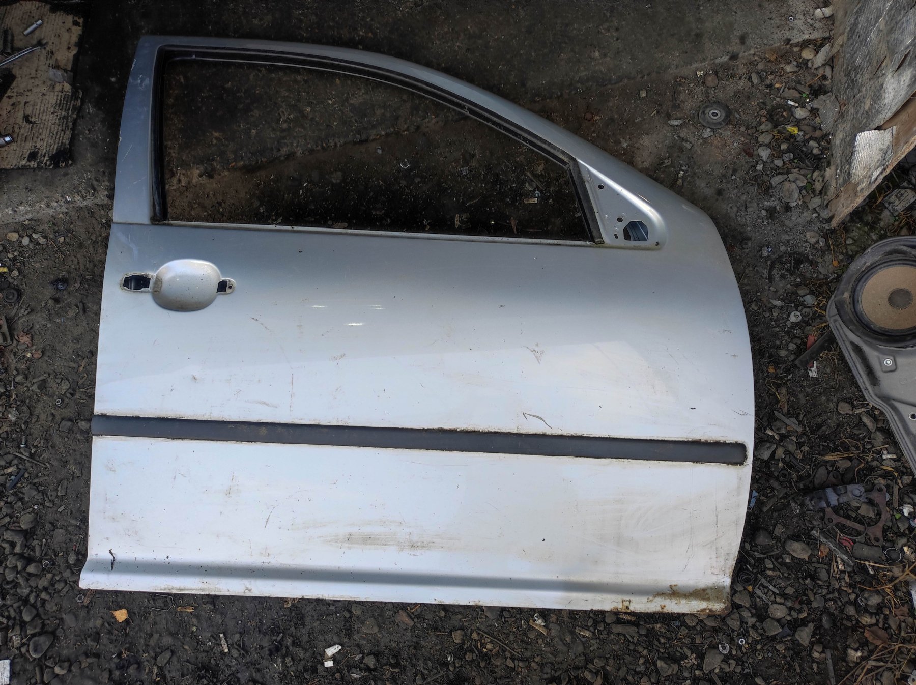 двері (передні кабіни в зборі; Двері передні, праві; Пасажирські передні двері) Volkswagen Golf IV (1997-2006) 1J4831056H