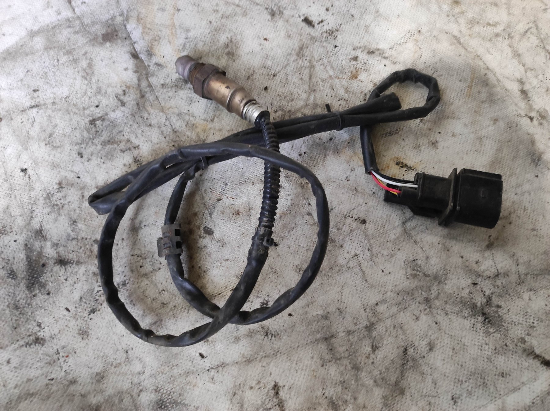 лямбда зонд, датчик кисню до каталізатора; лямбдазонд, датчик кисню до каталізатора Volkswagen Golf IV (1997-2006) 0258007351