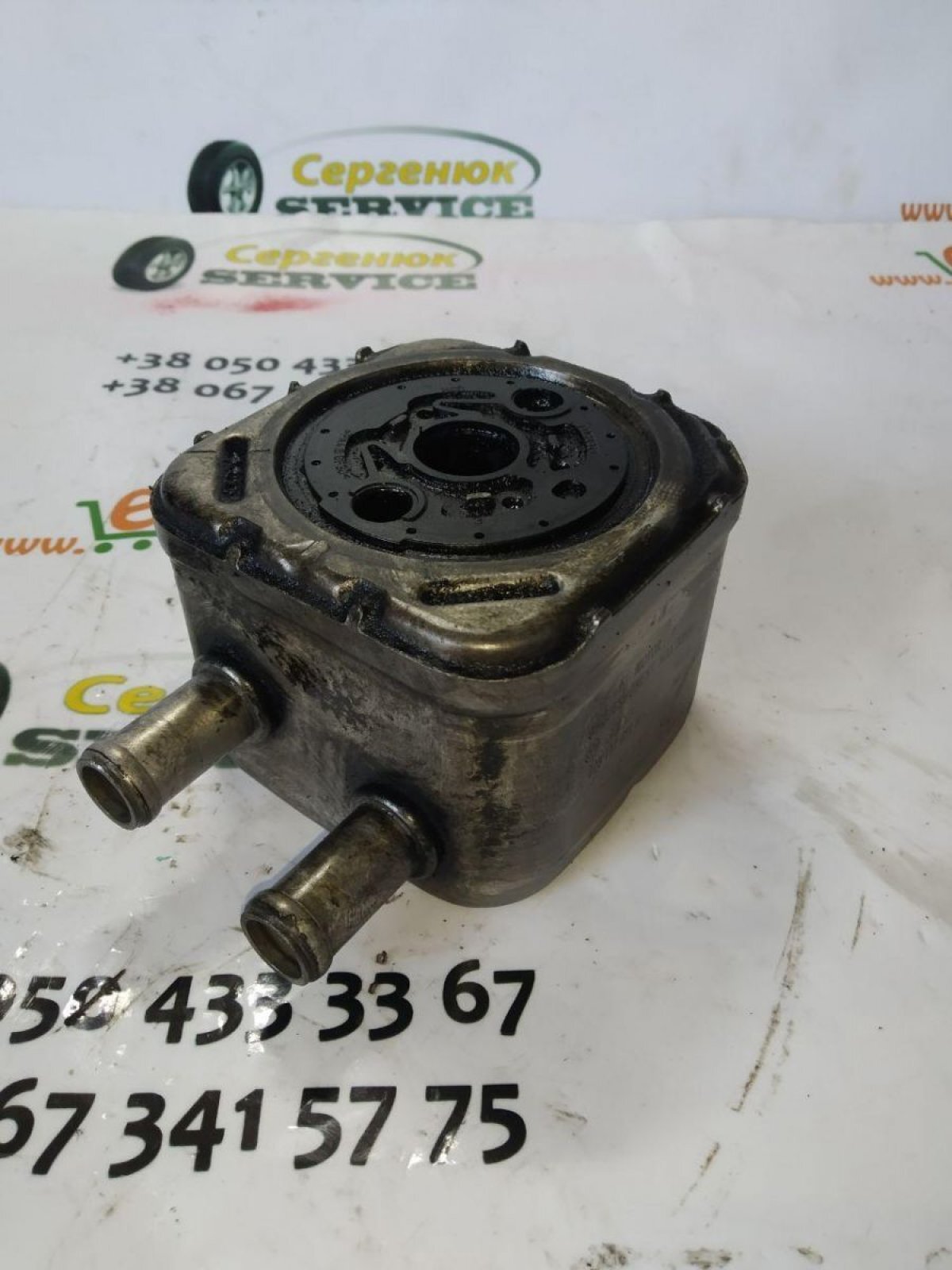 Радіатор масла VAG analog Volkswagen Passat B5 (1996-2005) 028117021H